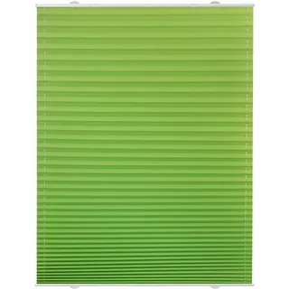 Lichtblick Plissee Haftfix, 65x130 cm - gruen