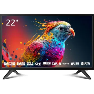 Enter 22 Pro X2 22" LED Full HD TV