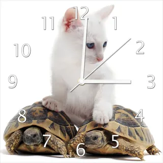 Wallario Design Wanduhr Katze auf Schildkröten aus Echtglas, Größe 30 x 30 cm - Weiß