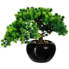 Bild Kunstbonsai »Bonsai Lärche«, im Keramiktopf, grün