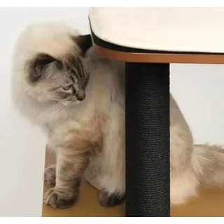 VESPER Tube schwarz 35,5 cm x 8 cm - Schwarz