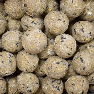 Meisenknödel Premium mit Insekten 100 x ca.90 Gramm ohne Netz Vogelfutter Wildvogelfutter Fettfutter