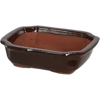 Esschert Design | Terrakotta Pflanzkübel, Bonsai Topf 21x6 cm, Dunkelbraun - Elegant, Funktional - Braun