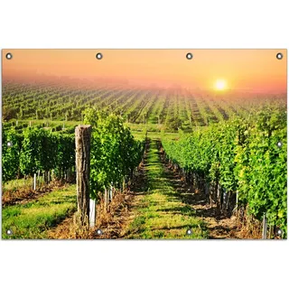 Wallario Outdoor-Poster für Garten oder Balkon, Motiv Weinberg mit untergehender Sonne, in ca. 80 x 120 cm - Schwarz