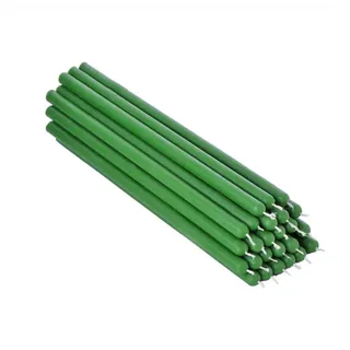 Nklaus Bienenwachskerze 21 cm grün