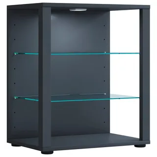 VCM Standvitrine Glasol 52 x 35 x 60 cm Grau