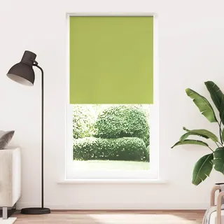 vidaXL Verdunkelungsrollo Grün 115x210cm Stoffbreite 110,7cm Polyester - Grün