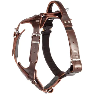 DINGO GEAR Elite Hundegeschirr Hadmade aus Leder, strapazierfähig, stark, Dunkelbraun, XL