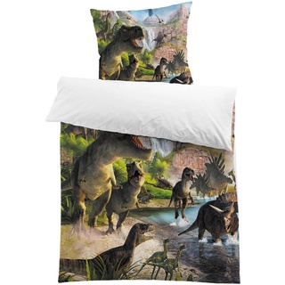 MUSOLEI Dinosaurier Bettwäsche 135x200 Kinder Jurassic World Dino Bettwäsche Jungen Teenager Jugendliche Kinderbettwäsche Mikrofaser 3D-Druck Bettbezug und 1 Kissenbezug 80x80 Geschenk