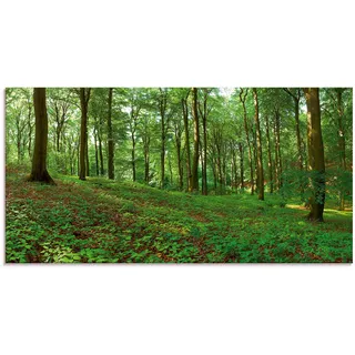 Artland Glasbild »Panorama von einem grünen Sommerwald«, Wald, (1 St.), in verschiedenen Größen, grün