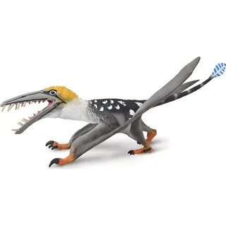 Collecta Dinosaurier Spielzeug Dearc Sgiathanach - 1:3 Maßstab