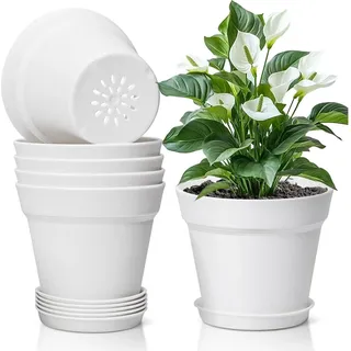 T4U 16cm Kunststoff Blumentopf mit Untersetzer 6er-Set Weiß für Sukkulenten Kaktus - Weiß