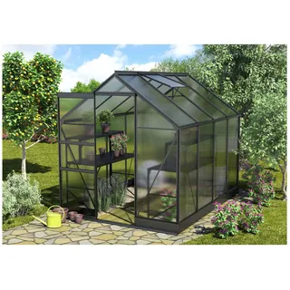 Apollo 5000 anthrazit HKP 6 mm 5,0 m²