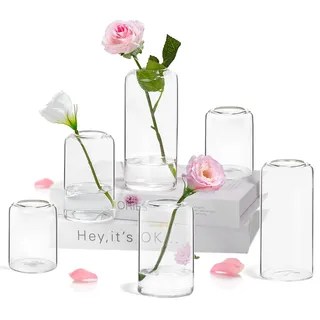 ZENS Kleine Vase Glas für Tischdeko,Modern Deko Vasen Set 6er Zylinder Knospe Blumenvase mit Schmalem Mund für Hochzeit,Handgeblasen Glasvase für Heimdekoration Mittelstück