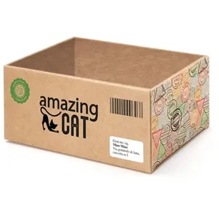 Record Kratzbaum Record Kratzbaum aus Karton mit Catnip, Praktische Form des Versandkartons Herausnehmbares Innenteil | Farbe Havanna, Größe 37 x 25 x 16 cm
