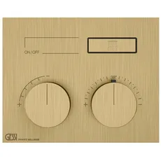 Gessi HI-FI, Fertigmontageset Unterputz-Thermostat mit Tasten-Bedienung mit 1 Ausgang, 63002, Farbe: Messing gebürstet PVD
