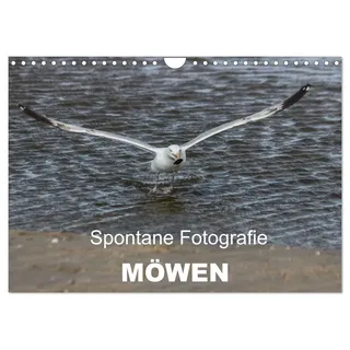 Spontane Fotografie - Möwen (Wandkalender 2026 DIN A4 quer), CALVENDO Monatskalender: Verschiedene nicht ganz romantische Möwenbilder (CALVENDO Tiere)