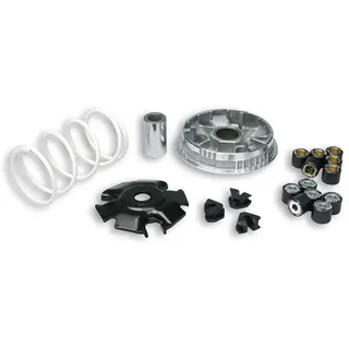Malossi 5111397 Variatorkit - Silver - One Size