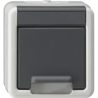 Gira Schuko-Steckdose 1 St. Grau