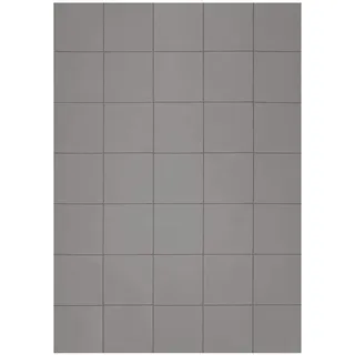 Magnetoplan 15502 Takkis,