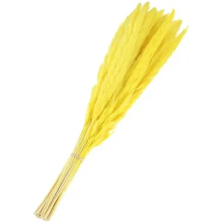 Unyqoos® 30er-Set künstliches Pampasgras (Polyester) – Pflegeleichtes Deko-Pampasgras für Vase, Wohnraum, Hochzeit & Events, allergiefrei, natürliche Optik - Gelb