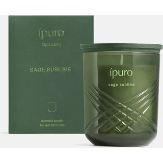 ipuro Duftkerze SAGE SUBLIME 270 g grün
