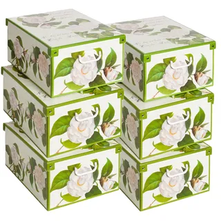Set aus 6 Aufbewahrungsboxen mit Deckel – Große Kleiderboxen aus Karton 39x50x24 cm – Robust, leicht zu montieren, mit Tragegriffen – Perfekt für Kleiderschrank & Saisonwechsel Kamelien