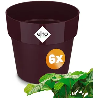 Blumentopf 6er-Set Maulbeere 30x27cm 13,3L