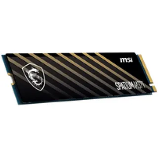 MSI Spatium M371