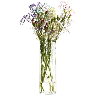 KROSNO Glasvase 30 cm – Kollektion Home, hohe Vase für Blumen, zylindrisch, minimalistisches Design, Dickes Glas, für Sträuße, Gräser und Innendekoration