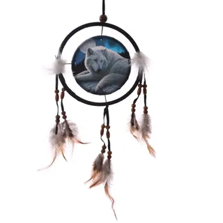 Original Traumfänger Kleiner Lupo Guardian der Nord