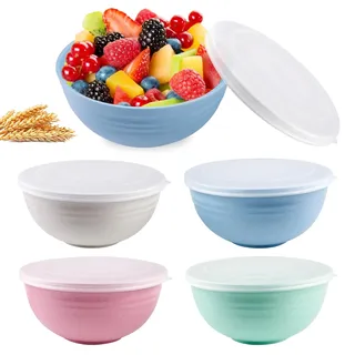 Vegena Müslischalen mit Deckel: 4er Set, 25 OZ, Leichtes und Bruchsicheres Geschirr, für Camping und Picknick (15,7 cm, Mehrfarbig)