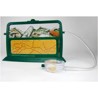 TimeTEX - Ameisenwelt, 9-tlg. | Ideal um das Leben & Arbeiten der Ameisen hautnah kennenzulernen | Maße: 31cm x 19,5cm x 7cm | Inkl. Anleitung, Arbeitsblättern, Zugang zu interaktiven Übungen uvm.