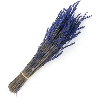 Getrockneter Lavendel Bündel Strauß in Box 100 Stück in kräftigem Lila Blau für Epoxidharz, zum Basteln und als Wohndekoration - Trockenblumen mit Stiel - Lavendelzweige Getrocknet