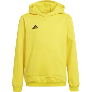 adidas Entrada 22 Yellow 116