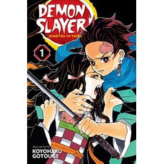 Demon Slayer: Kimetsu no Yaiba, Vol. 1: Cruelty (DEMON SLAYER KIMETSU NO YAIBA GN, Band 1)