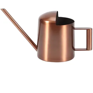 Kleine Gießkanne 10 Oz/300 ml, Metall-Wasserkanne, Pflanzengießkanne, Edelstahl-Sprinklertopf, Wasserpflanzenkrug mit langem Auslauf für Innen- und Außenpflanzen, Gartenblumen