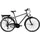 Z802 2021 28 Zoll RH 48 cm grau/grün