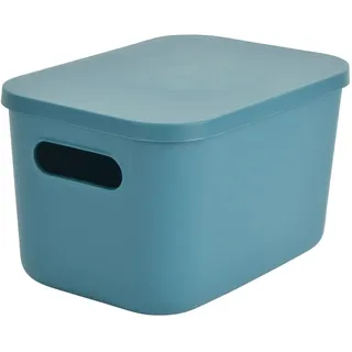 Homéa, Box mit Deckel aus Kunststoff, 4,5 l, 25 x 17,5 x 14,5 cm, Smaragdgrün