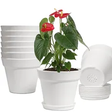9 Stück Kleine Pflanztöpfe Kunststoff-Pflanzgefäße mit Tablett und Drainagelöchern für Innen Außen Pflanzen Sukkulenten und Blumen Moderne Heimdekoration Geschenkidee