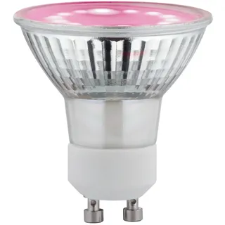 Paulmann LED-Pflanzenlampe Wachstum 230V GU10