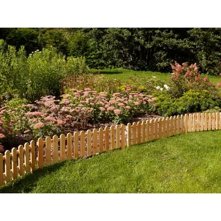 Konifera Mini-Beetgrenze 120 x 45 x 45 cm Beige