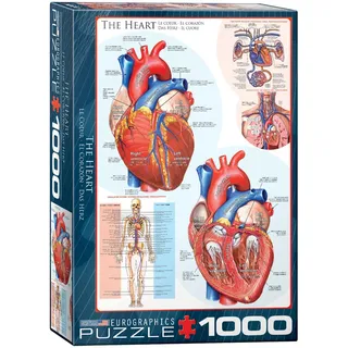 Das menschliche Herz - Anatomie Puzzle - 1000 Teile Puzzle im Format 68x48 cm