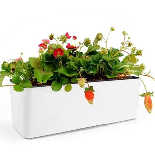 CAREDGO Blumentopf Selbstbewässerung, Blumentopf mit Wasseranzeiger Blumenkasten Kunststoff 40cm *13cm *13cm Kräutertopf Selbstbewässerend Weiß Pflanzentopf mit Bewässerungssystem für Pflanzen