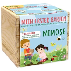 Feel Green ecobox-Kids-Edition Mimose, Nachhaltige Geschenkidee (100% Eco Friendly), Grow Your Own/Anzuchtset, Made in Austria