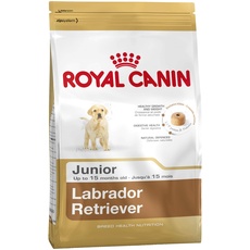 Bild Labrador Retriever Junior 12 kg
