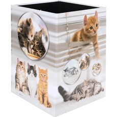 Bild von Papierkorb Katzen