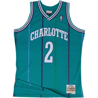 Swingman Mesh Jersey Charlotte Hornets 92-93 Larry Johnson X - Grün