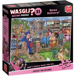 Wasgij Destiny 31 Home Delivery (1000)