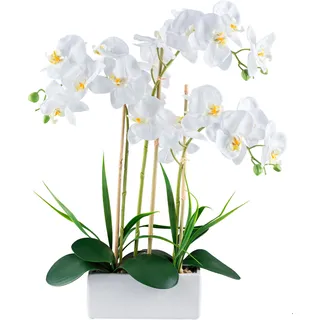 Creativ green Kunstorchidee »Orchidee Phalaenopsis« mit Graszweigen arrangiert, weiß